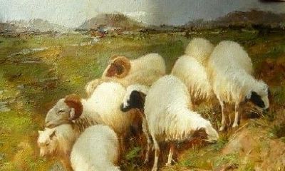 生肖羊:命苦属羊人的一生,你家有吗?挺准