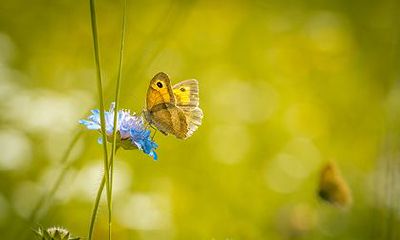 农历2022年虎年二月二十八这天黄历适合出殡吗?