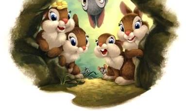 属兔人最令人难以忘记的优点