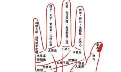 掌纹的秘密全图解的含义介绍