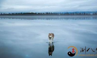 梦见在水面行走