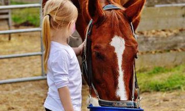 2023年七月初五出生袁姓女孩名字叫什么