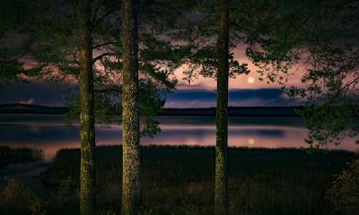 双鱼座:糊里糊涂是本领,满足是聪慧