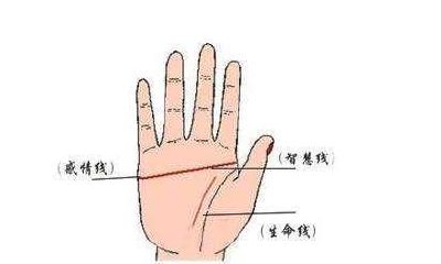 什么是断掌?这又意味着什么?分析后你就明白了
