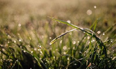 2022年二月二十九日可不可以去上香祈福?