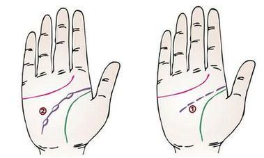 看掌纹,这四条主线,你都搞清楚了吗?