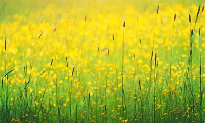 2022壬寅年二月二十五这天可以祈福吗?日子怎么样?