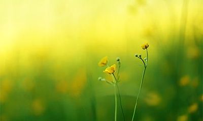 2022年农历二月二十一日去烧香祈福好吗?