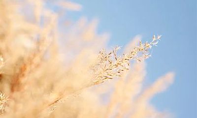 2022年正月二十六是祈福上香的吉利日子吗?