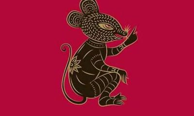 属鼠种什么植物比较好 属鼠合适养什么花