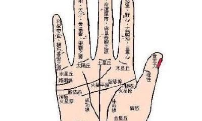 高手 亲传手相口诀!看了你就是掌纹大神了!