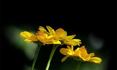 2022年正月二十二适不适合向女朋友求婚?