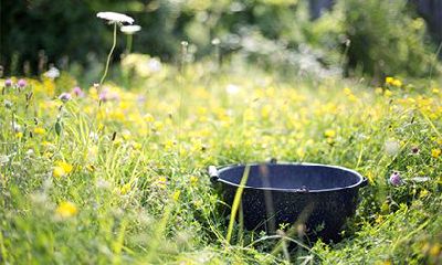 2022年壬寅年四月二十四日子好吗?是吉日么?