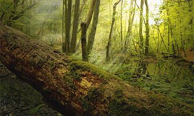 2022年农历四月二十三黄历日子如何?好不好?