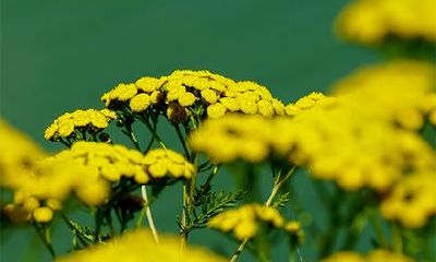 2022年农历四月十八是吉日吗?日子怎么样?