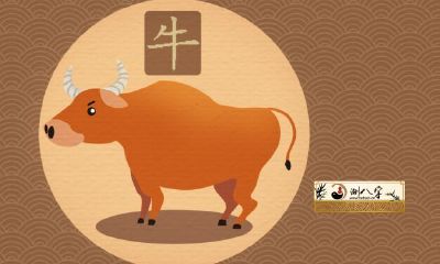 属相牛感情2022年运势