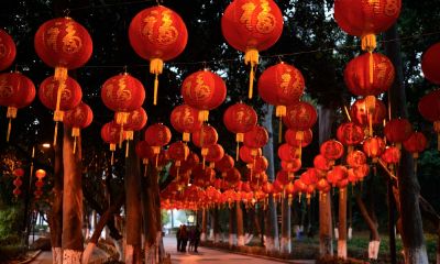 梦见好多小灯笼挂在树上