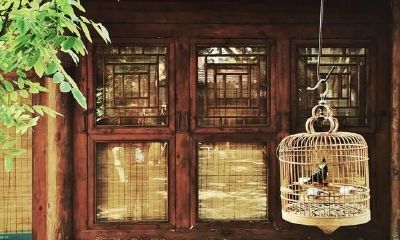 四合院:古董儿语风水