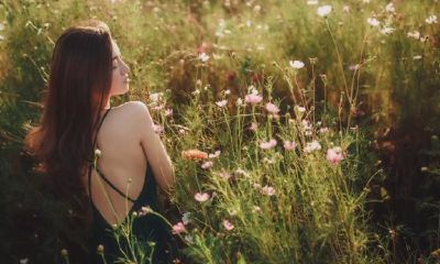 生肖猪:一辈子事业,爱情,财运究竟何去何从,你知道吗?