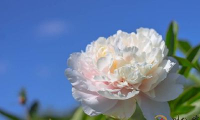 房间风水:卧房里挂哪些能聚财又能改变运势?