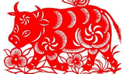 属牛人的个性和优点和缺点