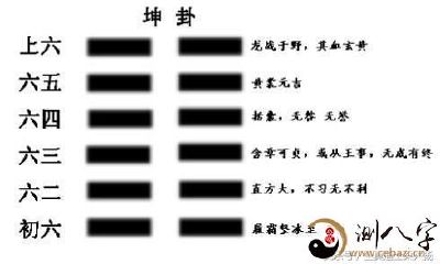 十二生肖解密:属牛的真的老实勤恳吗?