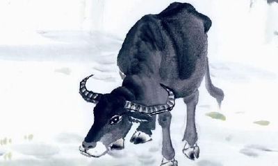 属牛相当于获得了旺财之气