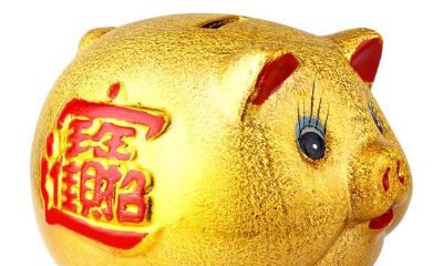 属猪的人生于几月,一生衣禄丰富,一生无凶无病!