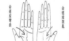 手相:命运线看命运