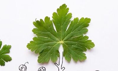 什么样的人合适天蝎座?五个关键点,说多了心疼你接纳不上