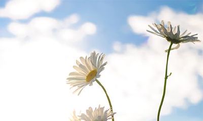 2022年二月十四是不是祈福上香的黄道吉日?