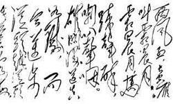 属相鸡的人的运气