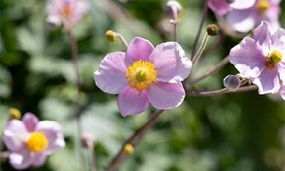 2023年阴历三月要小孩几月份生宝宝是正常?