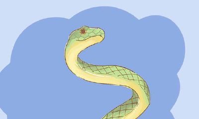 孕期胎梦,梦见这些都在意味着什么?