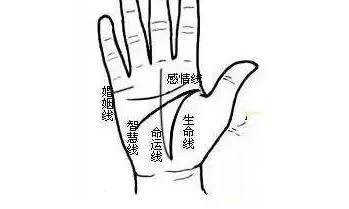 手相图解全集 哪些掌纹的人最命好呢?