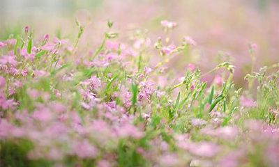 今年农历三月有多少天?2023阴历三月是大月还是小月