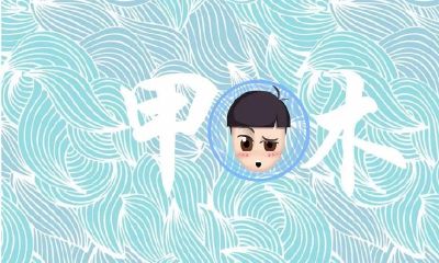 八字入门之日干甲木特点