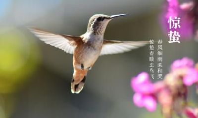 2023年3月6日惊蛰节气财神方位查询