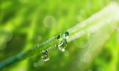 惊蛰出生的人命运怎么样?惊蛰生孩子有什么说法