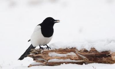 2020年国庆节是几月几日?国庆节在什么季节?