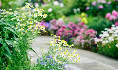 三月份能上坟吗?2023年阴历三月宜扫墓的吉日!