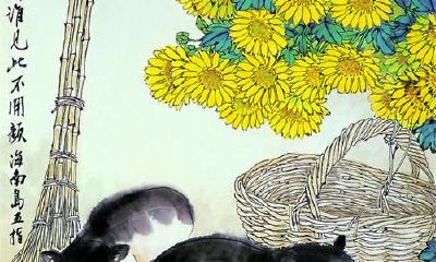 十二生肖:属猪的人