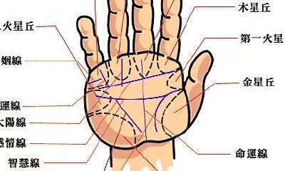 最齐掌纹婚姻生活分析!简单易懂掌握运势
