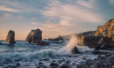 2023清明节不去扫墓可以吗_清明后上坟注意什么