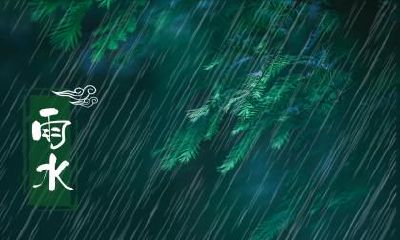 在雨水节气出生的生肖狗命理分析