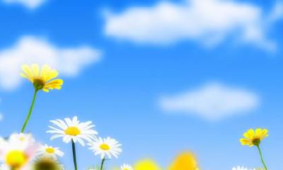 春分有什么风俗?生肖鼠年春分出生的人命如何?