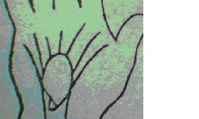 从手背筋看你的富贵贫贱