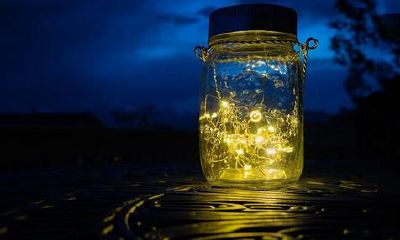 最有发展潜力干大事儿的属相