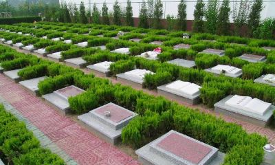 梦到一片墓地和墓牌