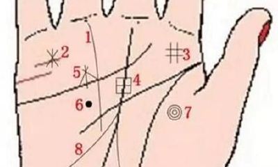 八字命理:掌纹面相分析大运,你能在那一个环节前程远大?